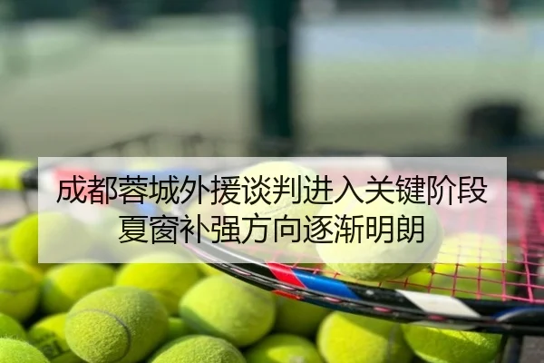 成都蓉城外援谈判进入关键阶段 夏窗补强方向逐渐明朗