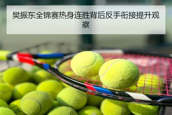 樊振东全锦赛热身连胜背后反手衔接提升观察